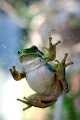 Killikus&reg; Fotographie